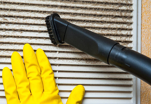 Air Duct Mold Removal in Superior, NE